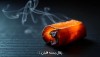 زغال پسته قلیان