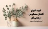 خرید اینترنتی گلدان وارونه (معکوس) با ارسال فوری