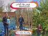 نهال گلدانی بهتر هست یا ریشه ای ؟