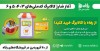 تداوم خرید با کالابرگ الکترونیکی از فروشگاه‌های رفاه